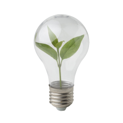small-plant-inside-light-bulb-removebg-preview small-plant-inside-light-bulb-removebg-preview